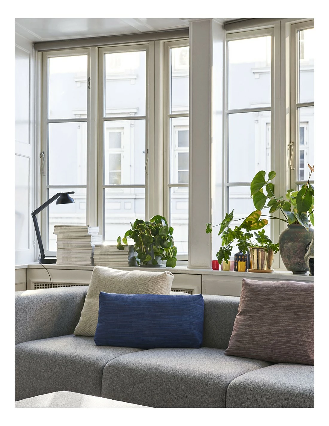 Hay COJÍN MAGS 6 Hay COJÍN MAGS - Imagen 6