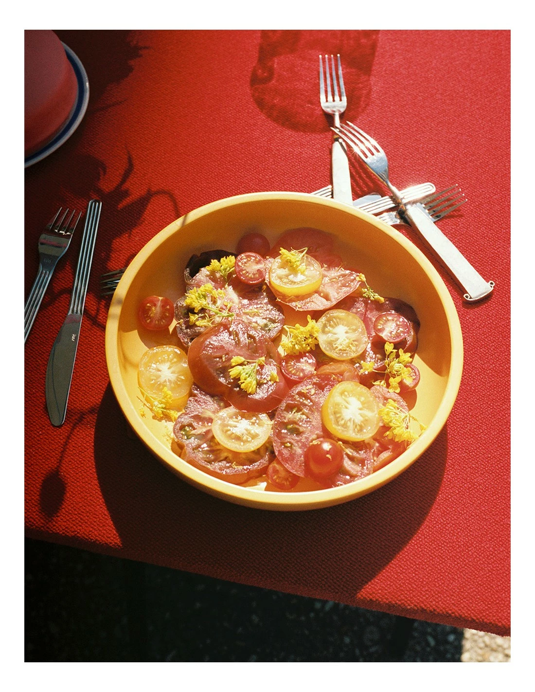 Hay CUENCO SOBREMESA L 2 Hay CUENCO SOBREMESA L - Imagen 2